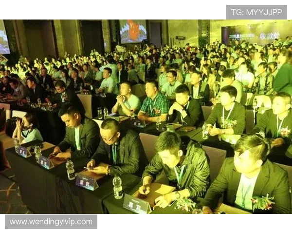 问鼎cc官网登录入口网址官方最新入口，提供安全稳定的登录通道保障玩家账号安全